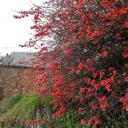 D'hotes Le Cascadou バナサック